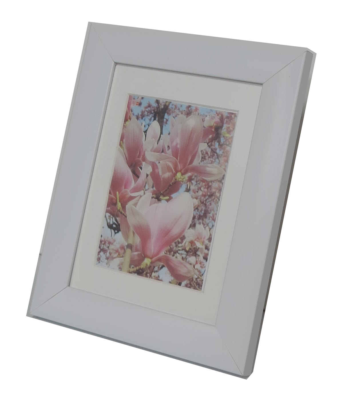 Homeworth   Photo Frames Certificate Frames Series White / Black / Timber - Babyworth