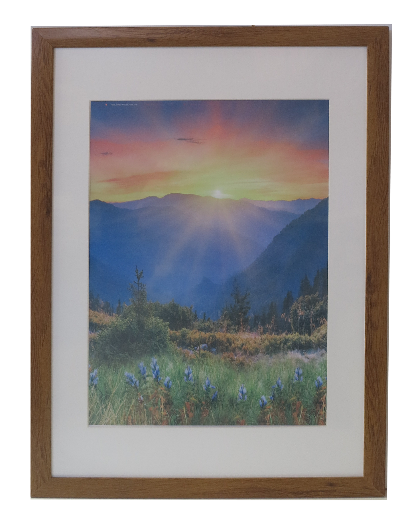Homeworth   Photo Frames Certificate Frames Series White / Black / Timber - Babyworth