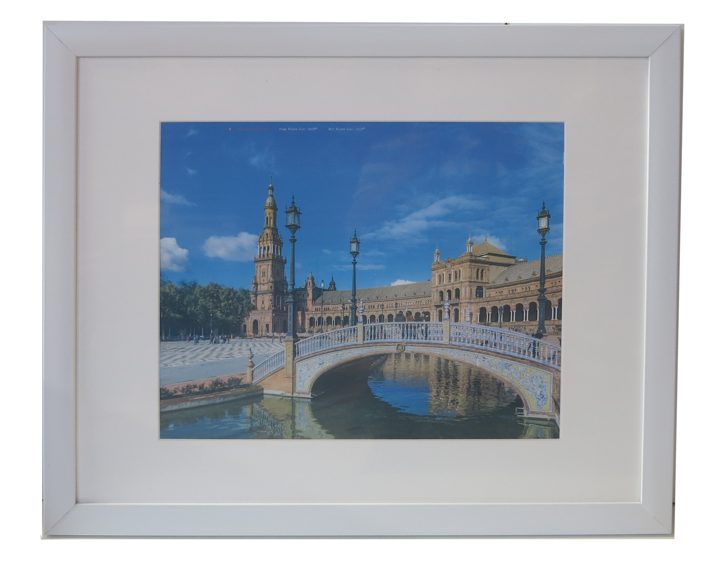 Homeworth Photo Frames - Certificate Series without Mat Border - White, Black or Timber - A4 A3 A2 4X6 5X7 8X10 11X14 12X16 16X20 20X24 24X36 - Babyworth