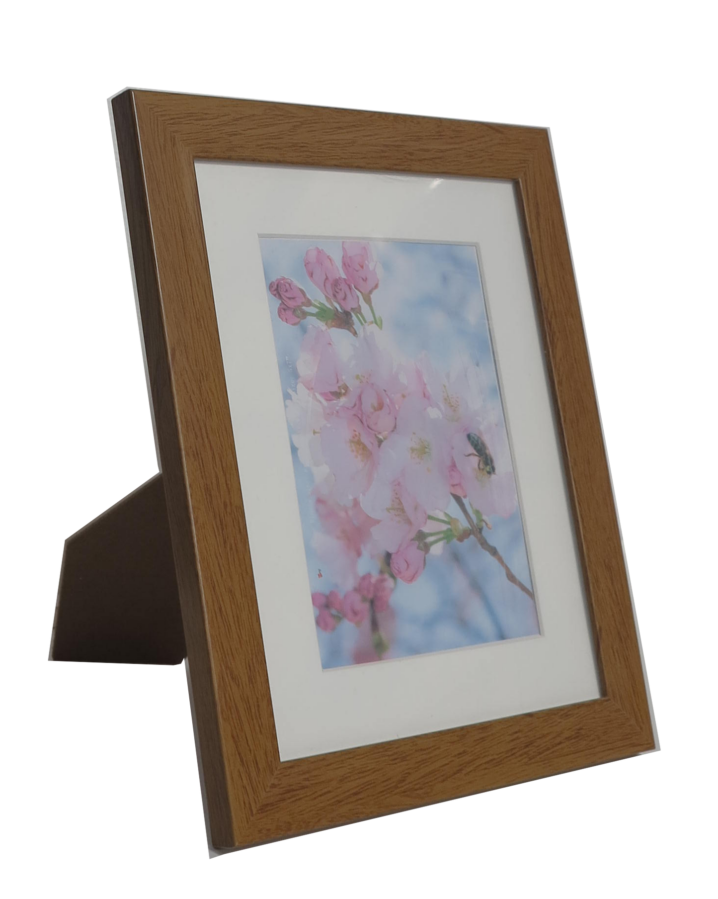 Homeworth   Photo Frames Certificate Frames Series White / Black / Timber - Babyworth
