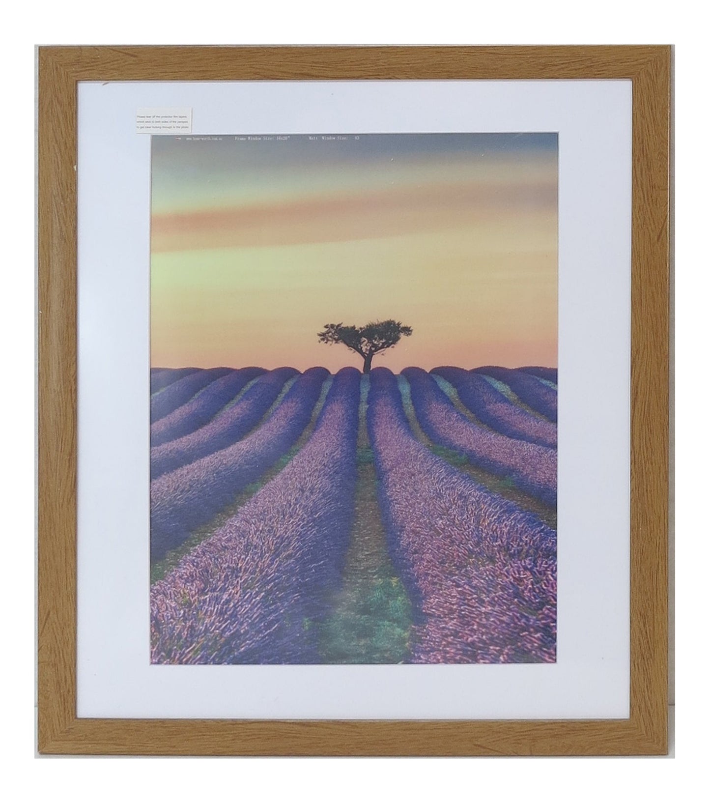 Homeworth Photo Frames - Certificate Series without Mat Border - White, Black or Timber - A4 A3 A2 4X6 5X7 8X10 11X14 12X16 16X20 20X24 24X36 - Babyworth